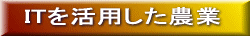 ITp_