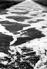 大正用水路の汚濁状況