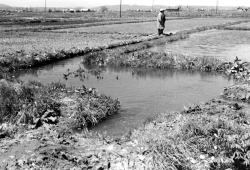 浮遊物を除去するために設けられた沈澱池