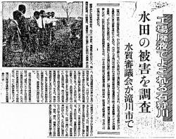水質審議会の現地調査を伝える記事