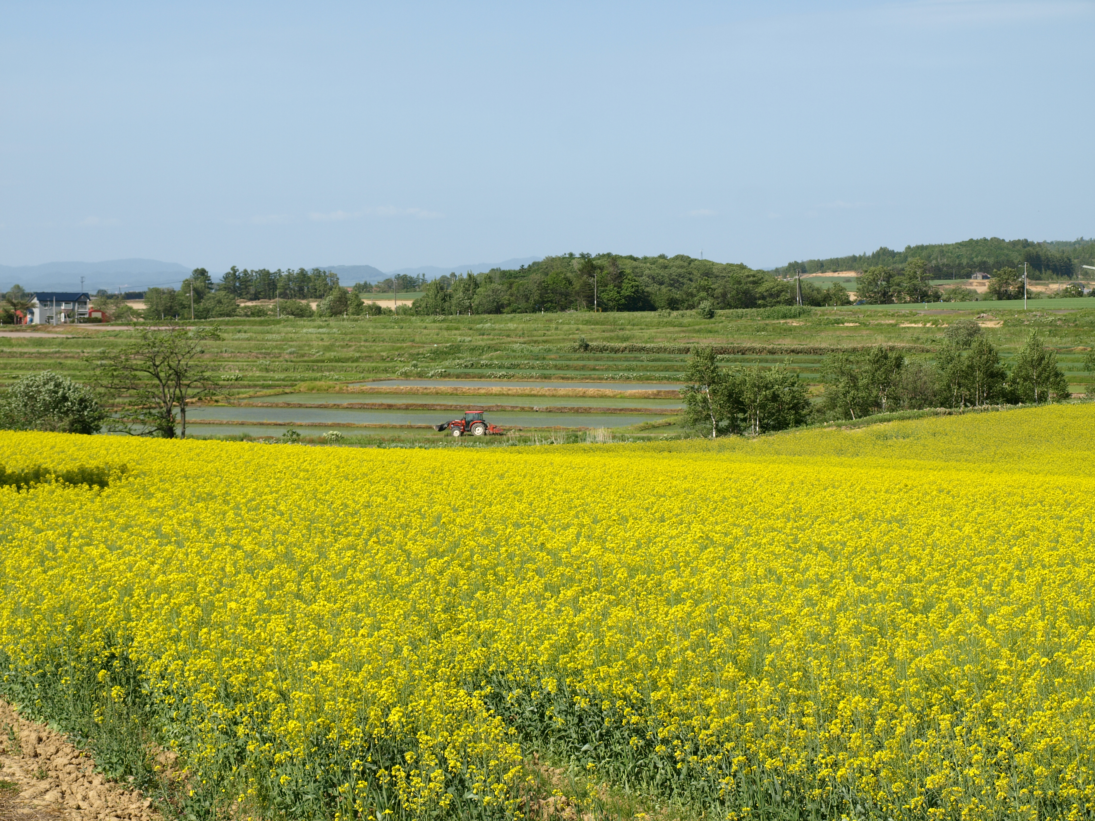 活力ある農村づくり支援